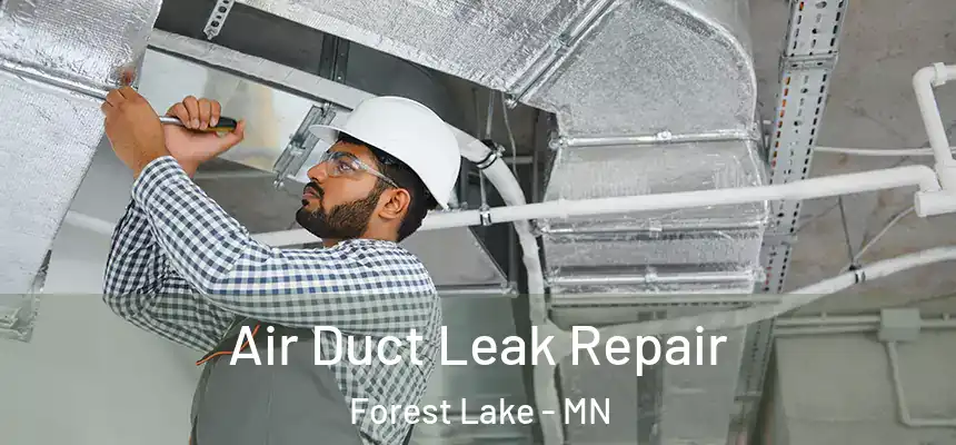 Air Duct Leak Repair Forest Lake - MN