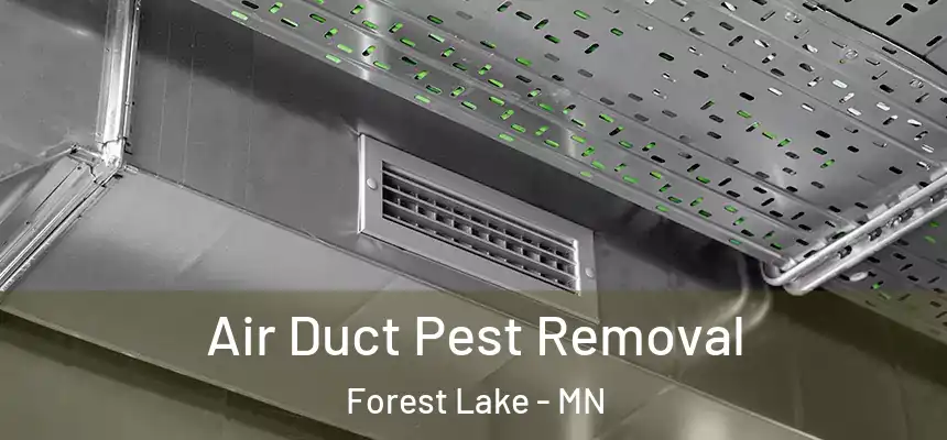  Air Duct Pest Removal Forest Lake - MN