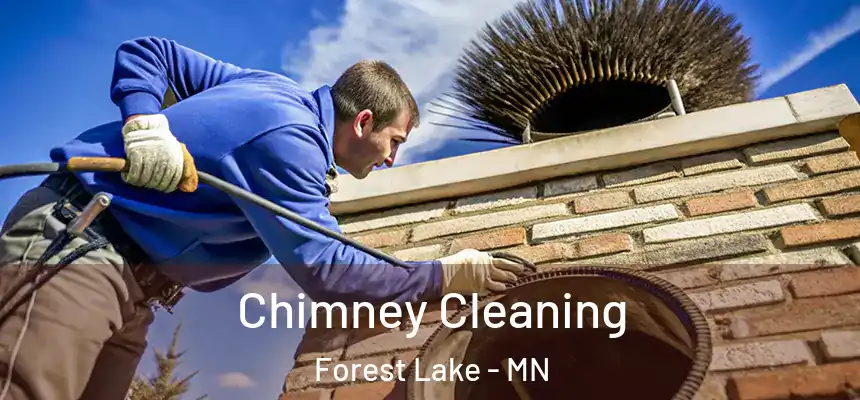 Chimney Cleaning Forest Lake - MN