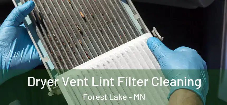 Dryer Vent Lint Filter Cleaning Forest Lake - MN