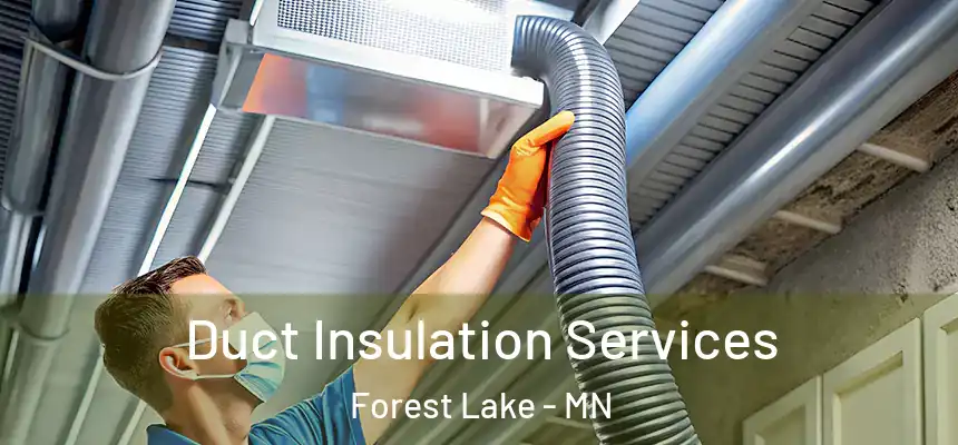 Duct Insulation Services Forest Lake - MN