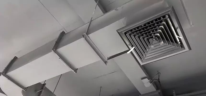 Restorative Allergy Relief Vent Cleaning – Coil, Blower & Housing Detail in Forest Lake