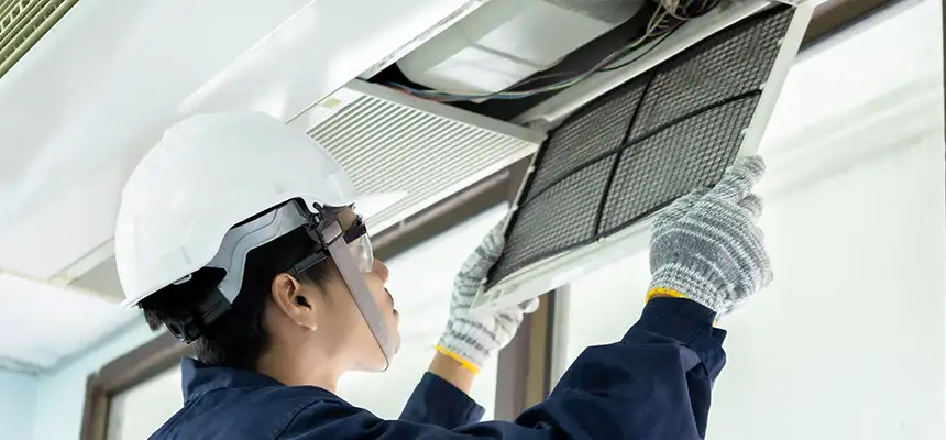 Our Lint Trap Cleaning Service Services in Forest Lake, MN