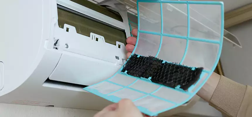 Gentle Ductwork Odor-Control Pet Dander Duct Cleaning in Forest Lake, MN