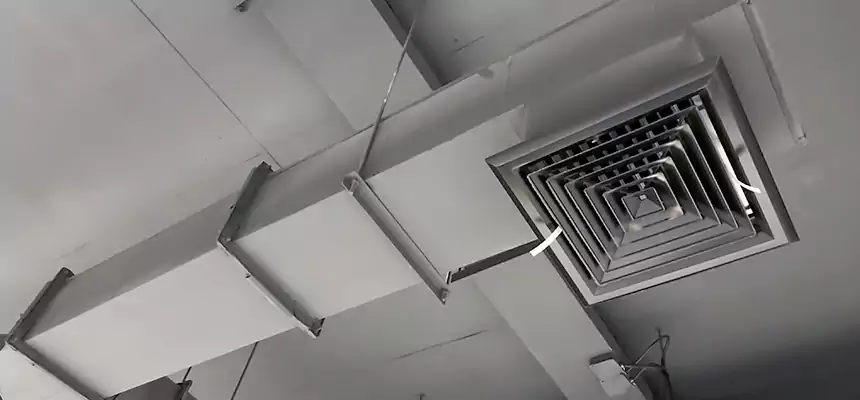 Our Rodent Droppings In Vents Services in Forest Lake, MN