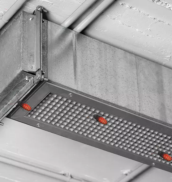 Affordable Insect Removal from Air Ducts in Forest Lake, MN