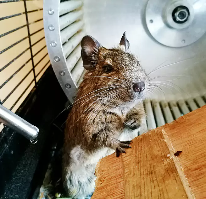 Why Homeowners & Businesses Trust Us Forest Lake, MN