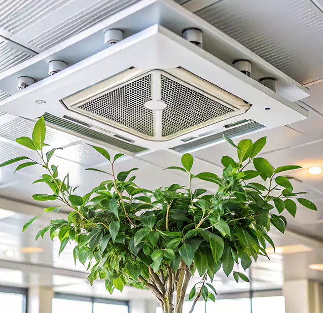 Why Homeowners & Businesses Trust Us in Forest Lake, MN?