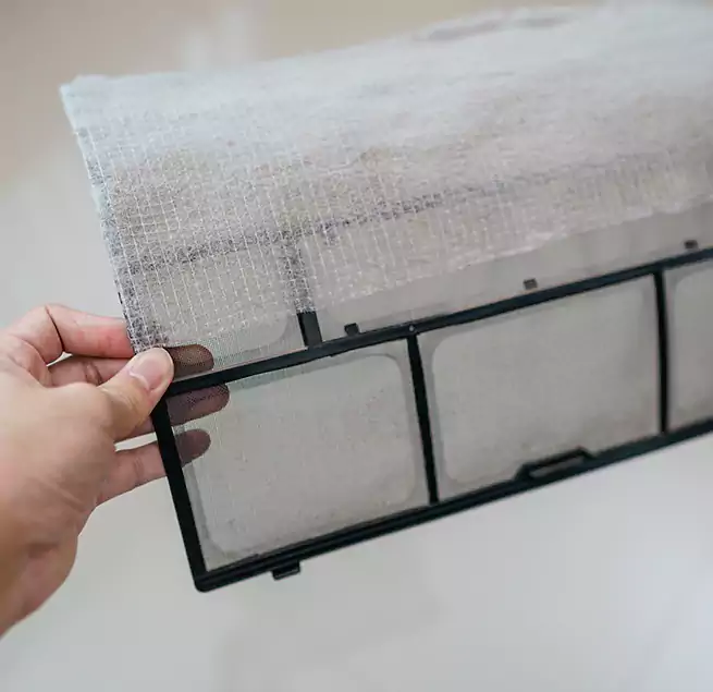 Why Homeowners & Businesses Trust Us in Forest Lake, MN?